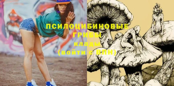 Альфа ПВП Баксан