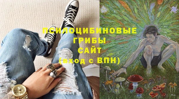 Альфа ПВП Баксан